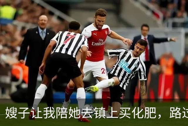 嫂子让我陪她去镇上买化肥，路过一片高粱地，她说：进去歇会儿吧